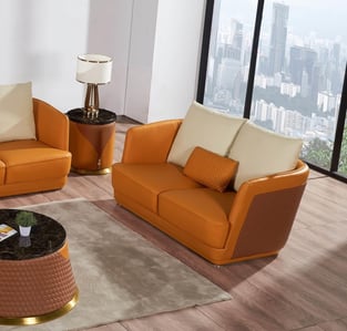 Living Room  Brown, Orange European Furniture image