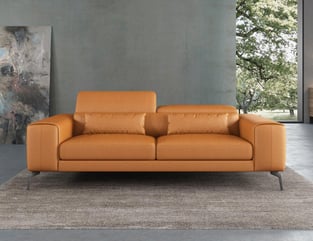 Living Room  Cognac European Furniture photo