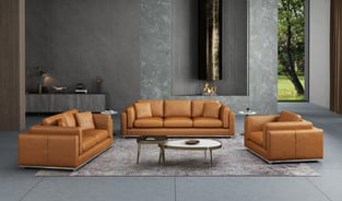 Living Room  Cognac European Furniture photo