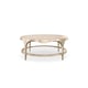 Natural Glow & Champagne Pearl Finish Coffee Table Set 2Pcs DOWN AND UNDER by Caracole 