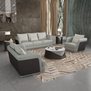 Gray, Chocolate European Furniture EF-51618-C  Living Room interior