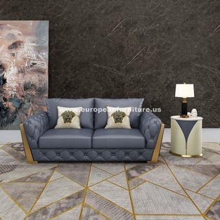 Living Room  Gray European Furniture image