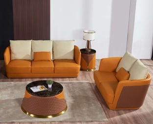 Living Room  Brown, Orange European Furniture image