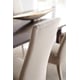 Soft Silver Paint Upholstered Dining Chair Set 2Pcs SOCIALLY ACCEPTABLE by Caracole 