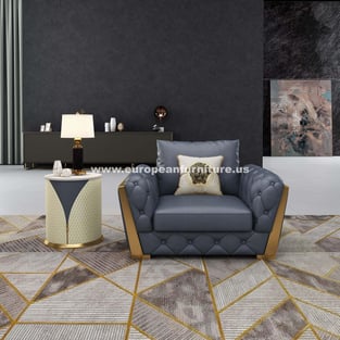 Living Room  Gray European Furniture photo