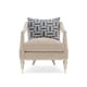Blush Taupe Velvet Sofa Set 3Pcs Contemporary Living Large by Caracole 