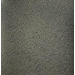 Buy now Gray, Metallic Caracole SGU-021-231-A