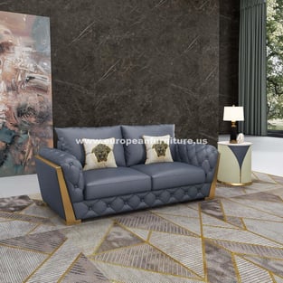 Living Room  Gray European Furniture image