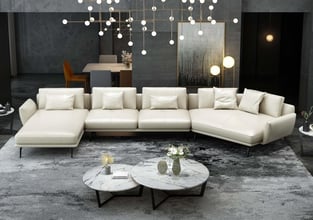 Living Room  White European Furniture image