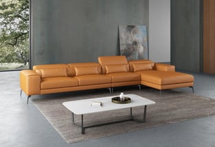 Living Room  Cognac European Furniture photo