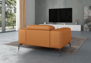 Living Room  Cognac European Furniture photo