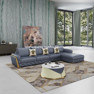 Living Room  Gray European Furniture photo