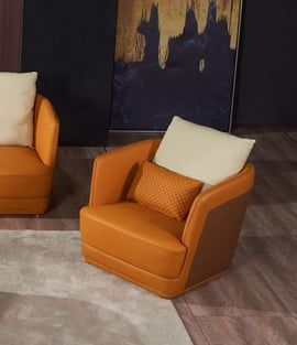 Living Room  Brown, Orange European Furniture photo