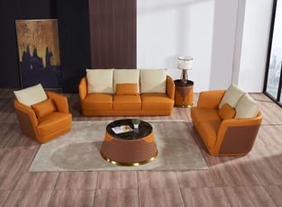 Living Room  Brown, Orange European Furniture photo