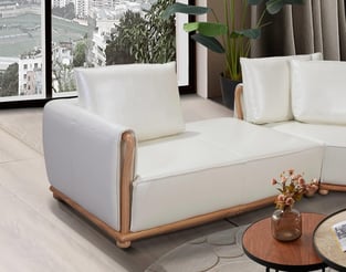 Order Off-White European Furniture EF-26661 Living Room now