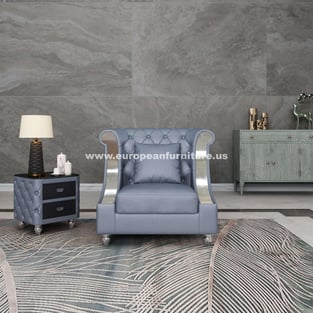 Living Room  Gray European Furniture photo