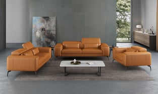 Living Room  Cognac European Furniture photo