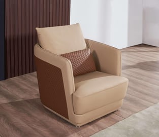 Living Room  Brown, Tan European Furniture image