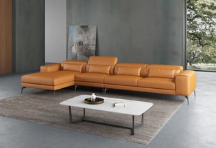 Living Room  Cognac European Furniture photo