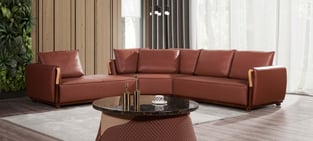 Living Room  Brown European Furniture image